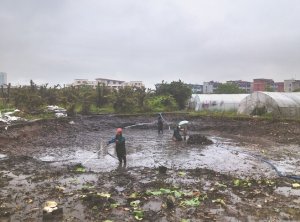 龙凤河道鱼塘清淤